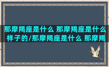 那摩羯座是什么 那摩羯座是什么样子的/那摩羯座是什么 那摩羯座是什么样子的-我的网站